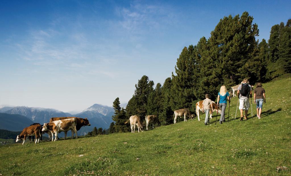 Ferienwohnungen Haus Daheim Längenfeld Zewnętrze zdjęcie